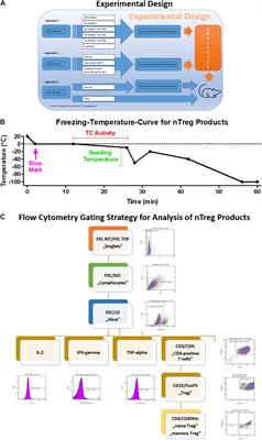 Freezing Medium Containing 5% DMSO Enhances the Cell Viability and Recovery Rate After Cryopreservation of Regulatory T Cell Products ex vivo and in vivo